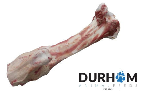 DAF Raw Beef Jurassic Bone