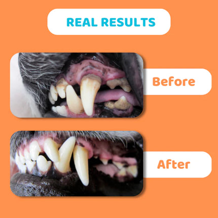DogsLife Dog Deep Cleaning Toothpaste