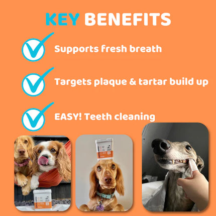 DogsLife Dog Dental Wipes
