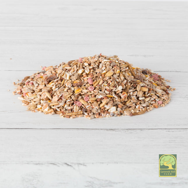 Laverock Robin & Songbird Feed