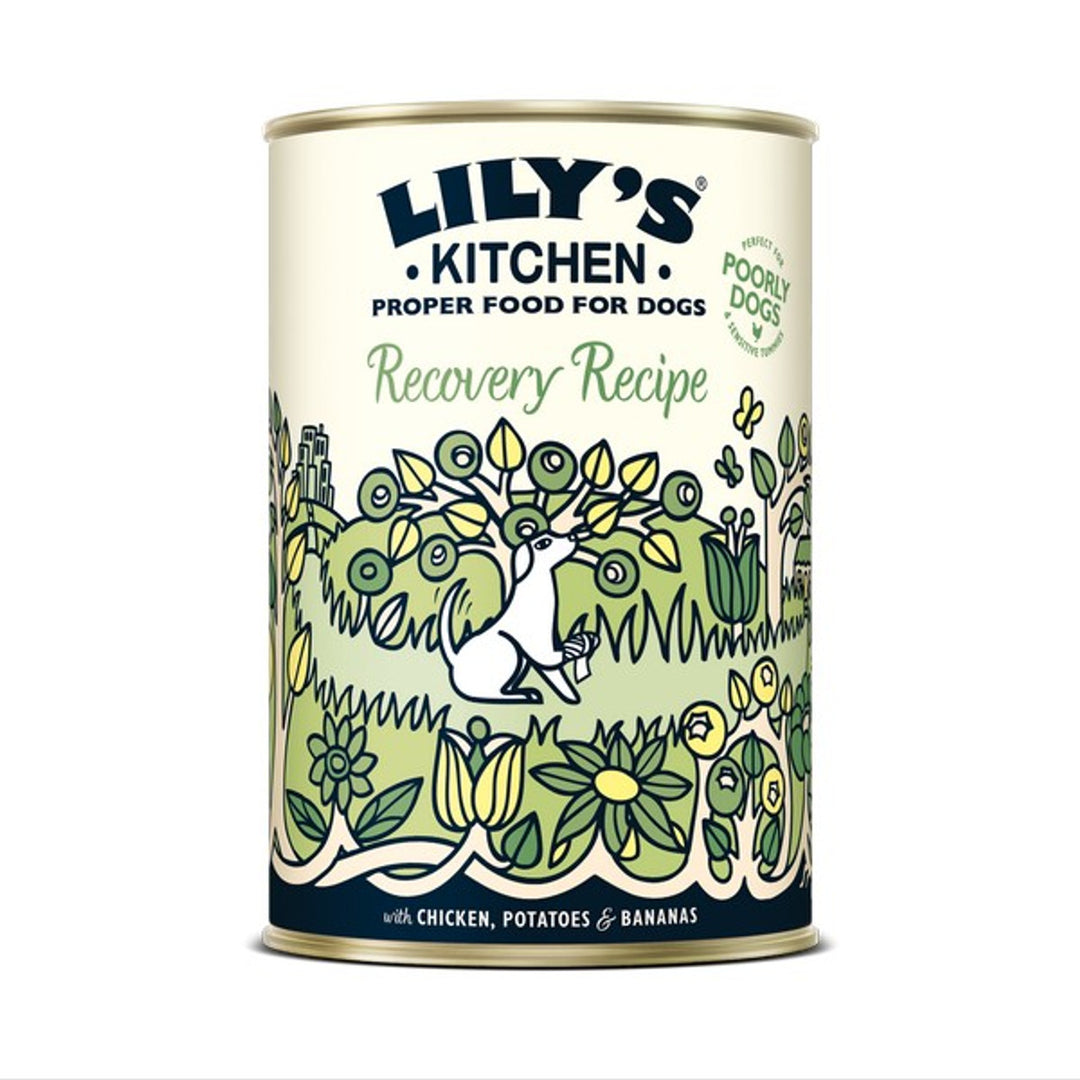 Lily's Kitchen Dog Food - Recovery Recipe