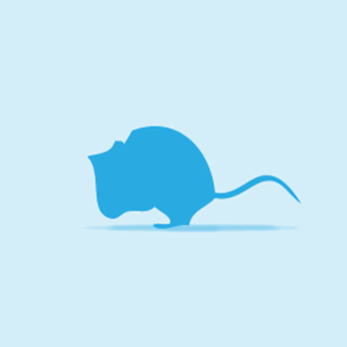 Monkfield Frozen Mice