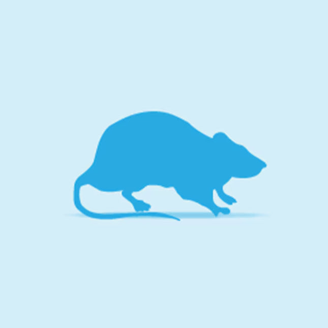 Monkfield Rats