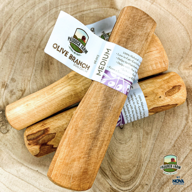 Olive Branch
