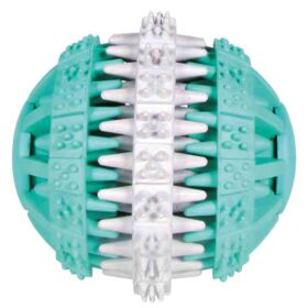 Trixie Denta Fun Large Ball