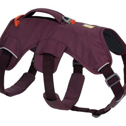 Ruffwear Web Master Harness