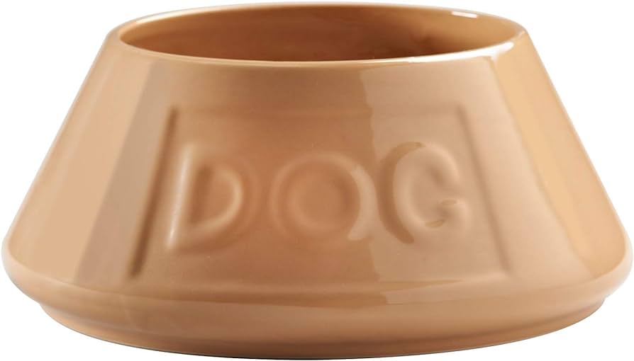 RSPCA Mason Cash Long Eared Pet Bowl