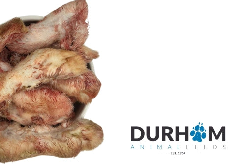 DAF Rabbit Feet