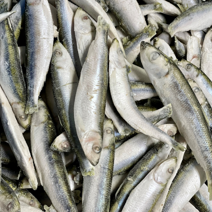 Dougie's Frozen Whole Sprats 1 kg