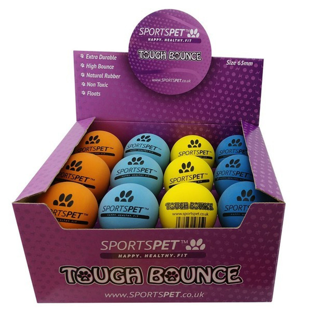 Sportspet Tough Bounce Ball