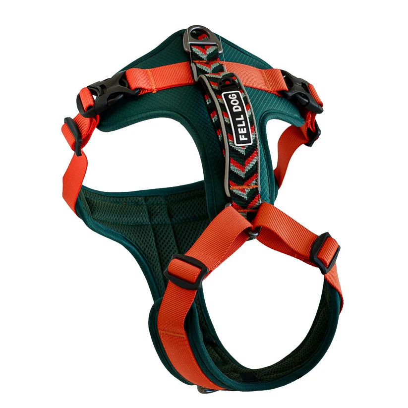 Fell Dog Nevis Dog Harness