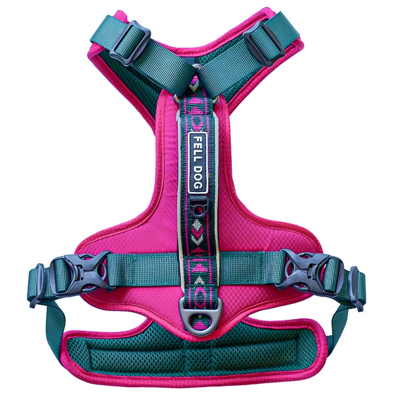 Fell Dog Nevis Dog Harness