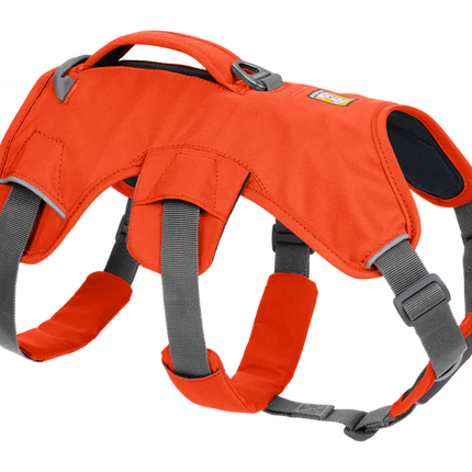 Ruffwear Web Master Harness