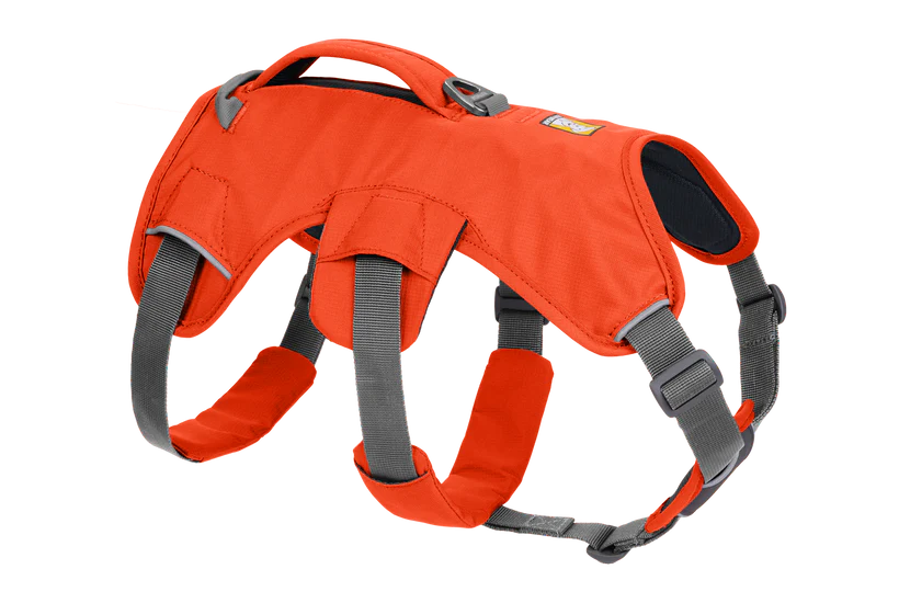 Ruffwear Web Master Harness