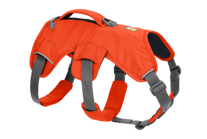 Ruffwear Web Master Harness