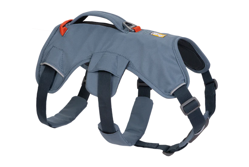 Ruffwear Web Master Harness