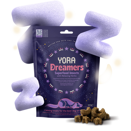 YORA Dreamers