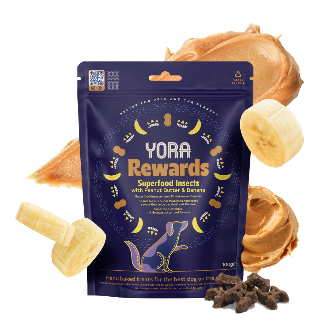 YORA Rewards Peanut Butter & Banana