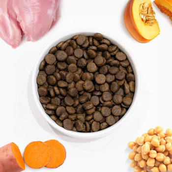 Arden Grange VetCare Joint Care Turkey with Sweet Potato