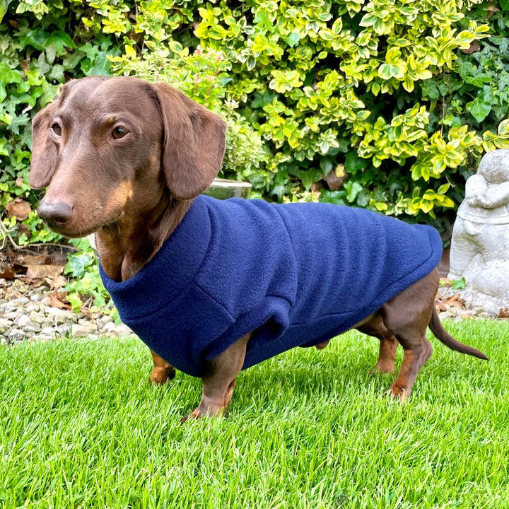 Pawsome Suits Dachshund Fleece