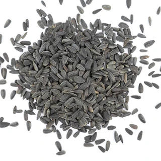 Harrisons Black Sunflower