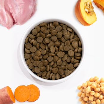 Arden Grange VetCare Weight Control Turkey with Sweet Potato