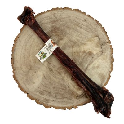 Ostrich Caveman Bone