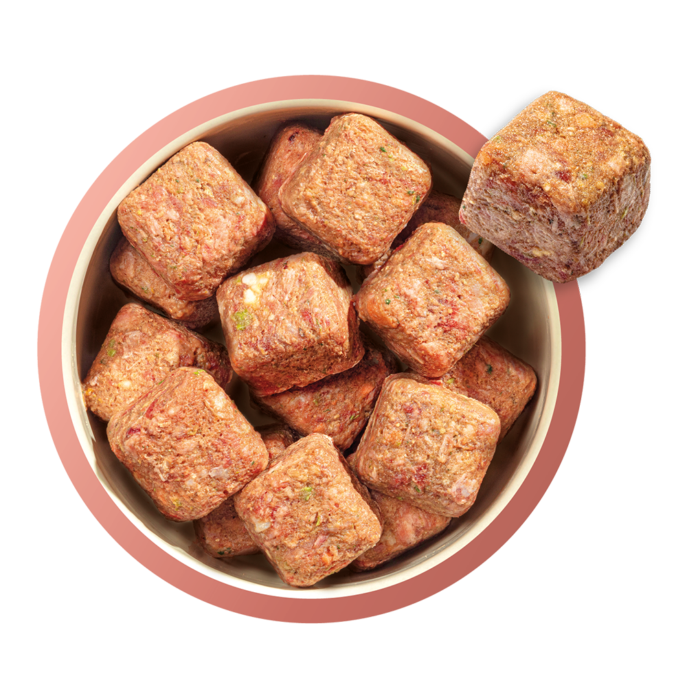 Natures Menu Puppy 80/20 Complete and Balanced Beef 1kg Nuggets