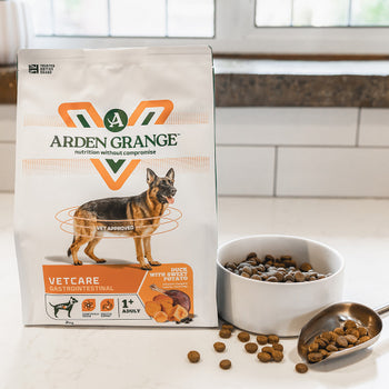 Arden Grange VetCare Gastrointestinal Duck with Sweet Potato