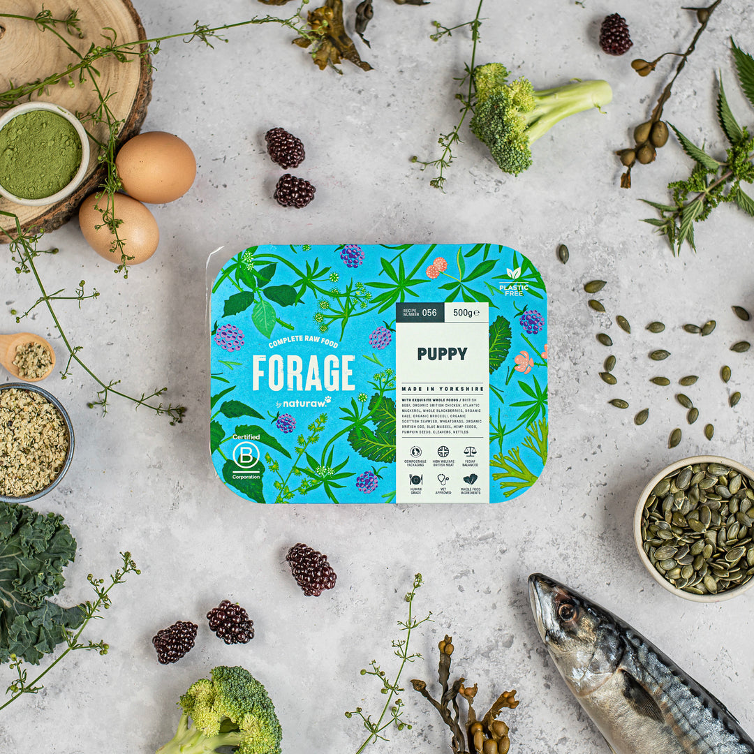 Naturaw FORAGE: Puppy