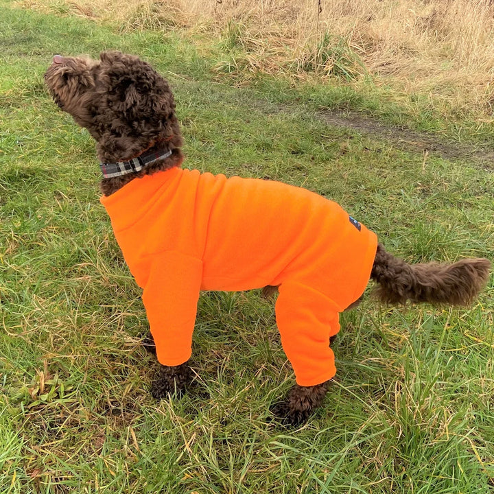 Pawsome Suits 4 Leg Fleece Dog Suit