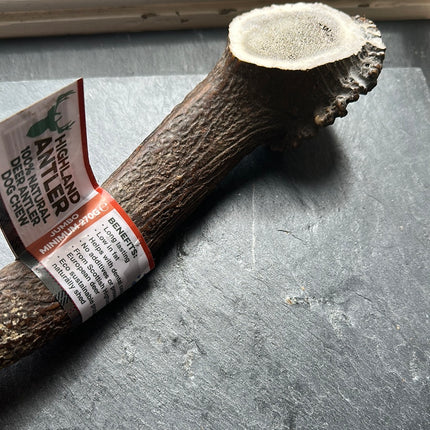 Antler Dog Chew