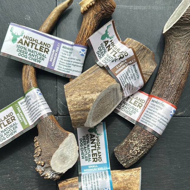 Antler Dog Chew