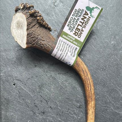 Antler Dog Chew