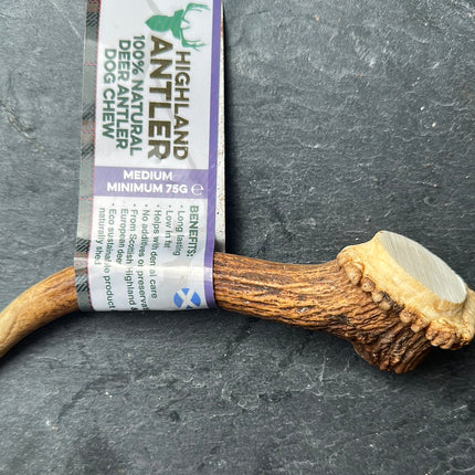 Antler Dog Chew