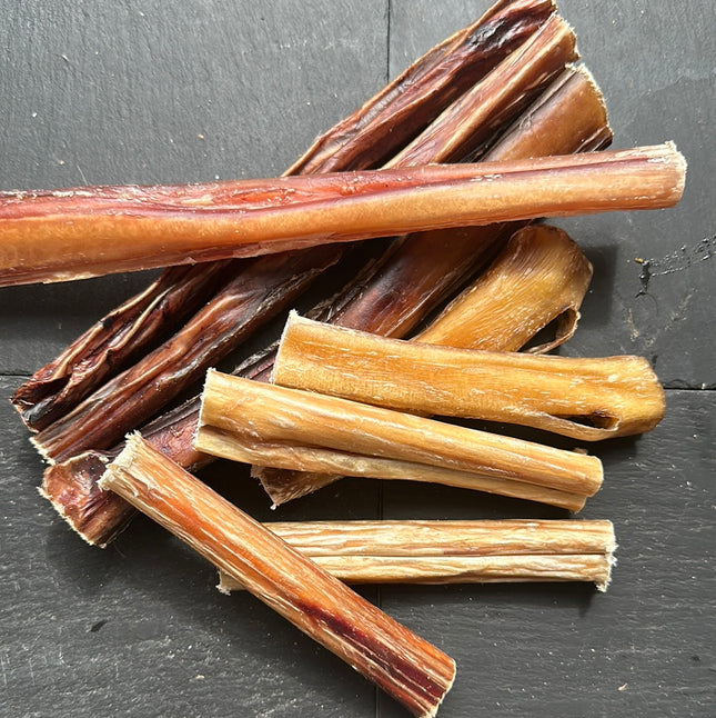 Pizzle Dog Treat