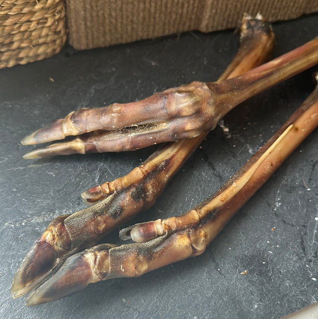 Deer Legs (Roe) Dog Treat