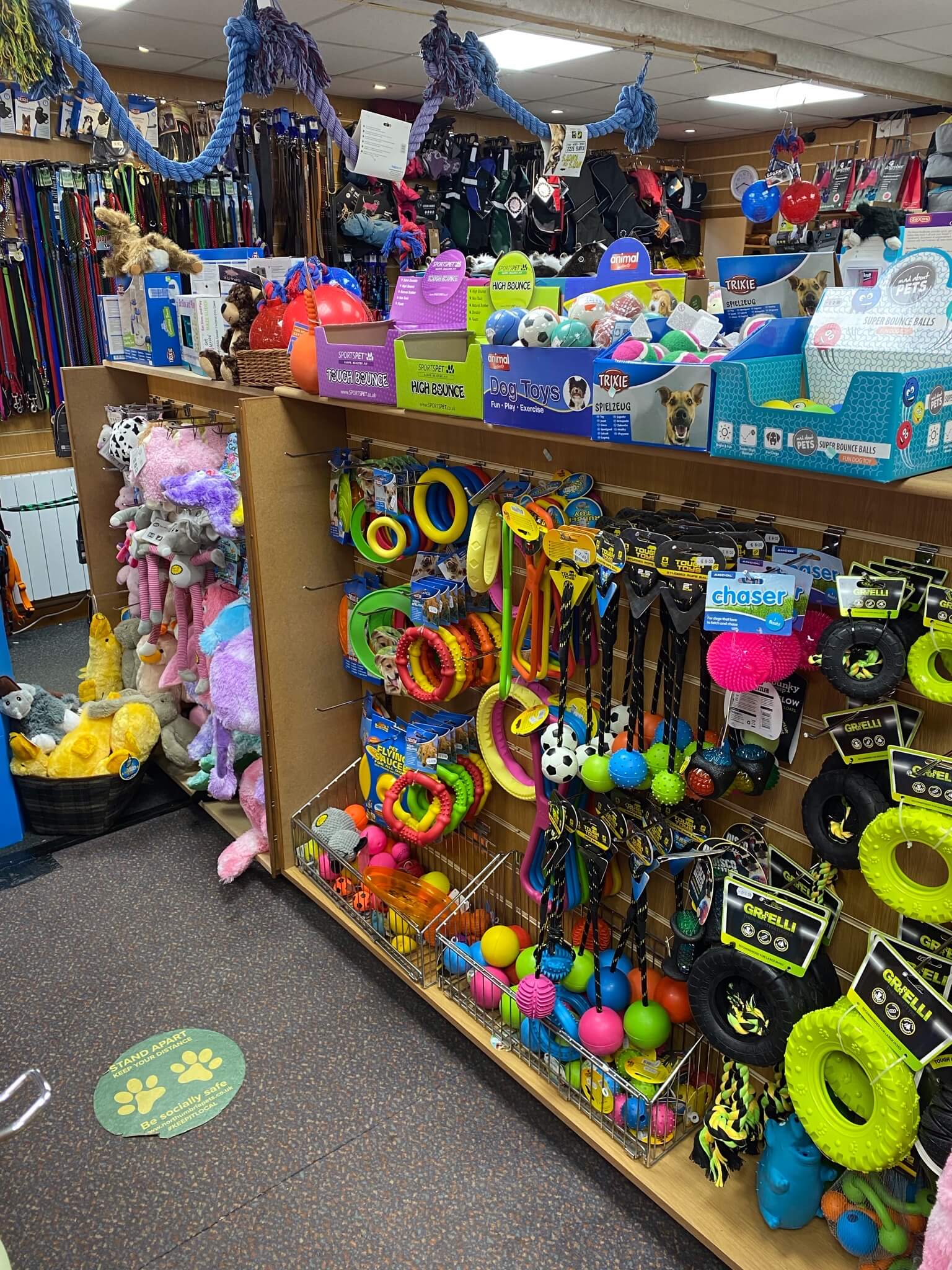toys for dogs in Alnwick store