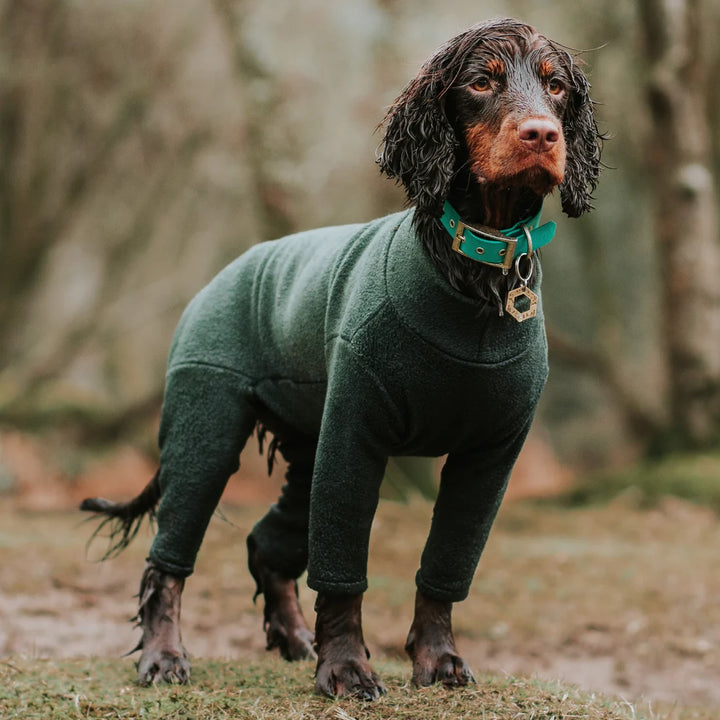 Pawsome Suits 4 Leg Fleece Dog Suit
