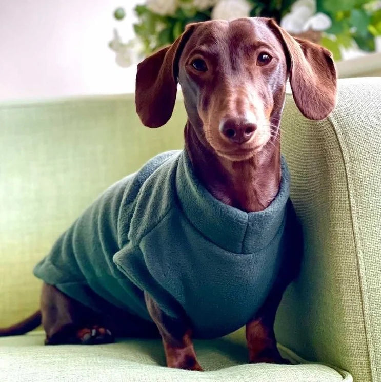 Pawsome Suits Dachshund Fleece