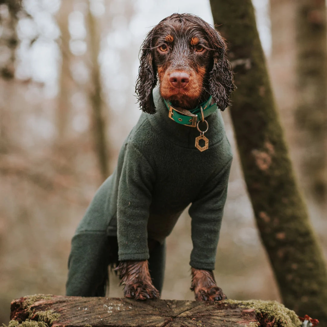 Pawsome Suits 4 Leg Fleece Dog Suit