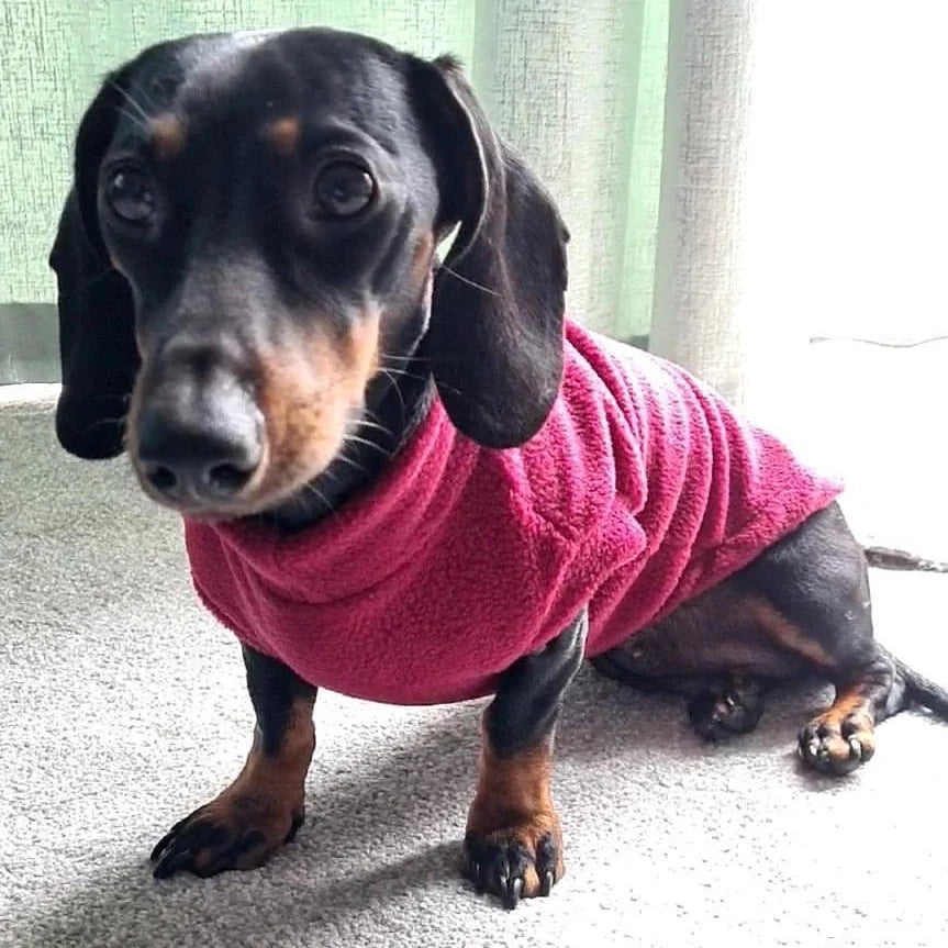 Pawsome Suits Dachshund Fleece