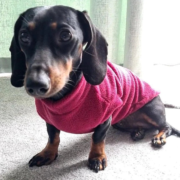 Pawsome Suits Dachshund Fleece
