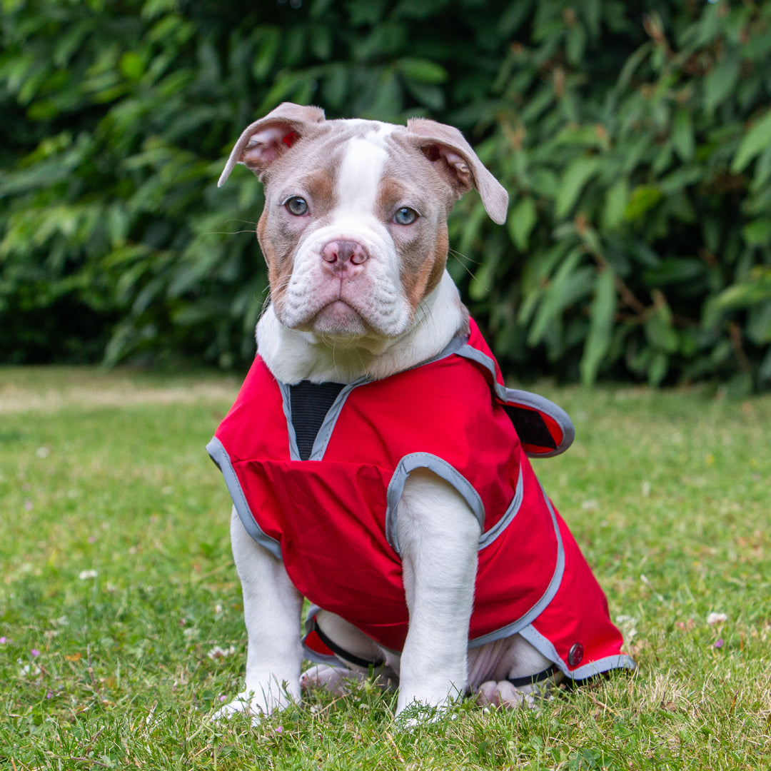 Ancol Storm Guard All Weather Jacket