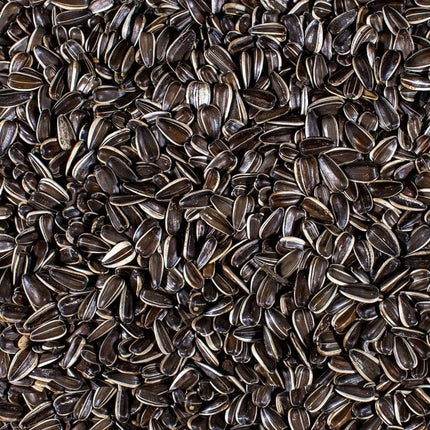 Striped Black Sunflower Hearts