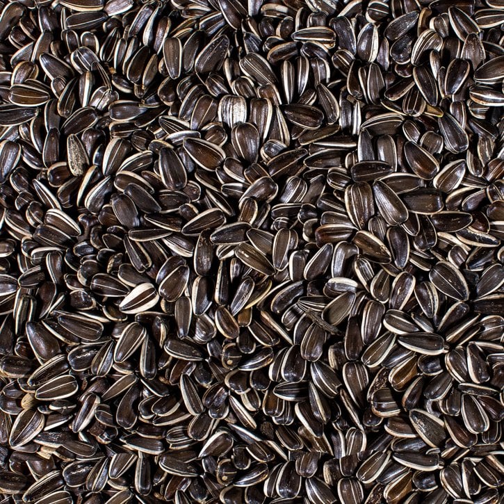 Striped Black Sunflower Hearts