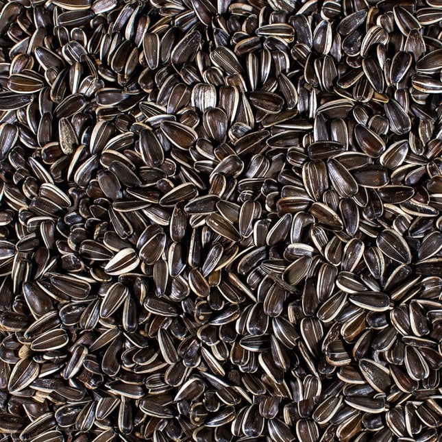 Striped Black Sunflower Hearts