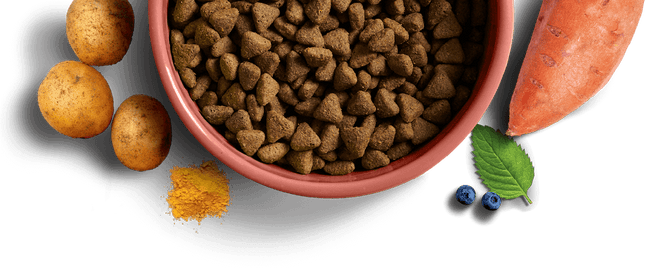 YORA Grain Free All Breed 1.5kg